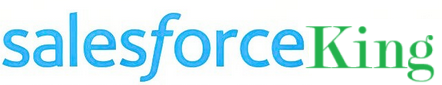 Salesforce King