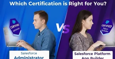 Platform App Builder vs Administrator